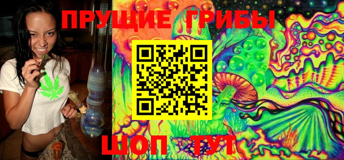 Галлюциногенные грибы MAGIC MUSHROOMS Людиново