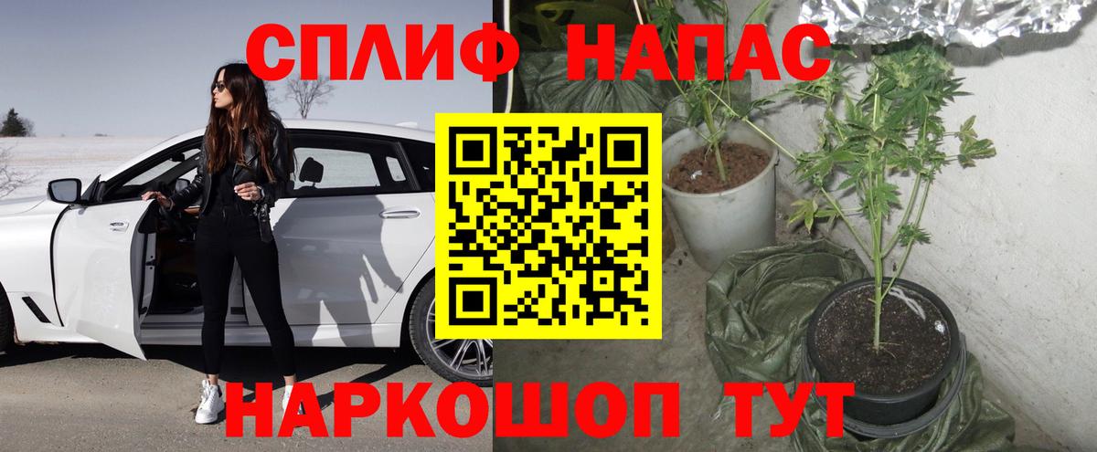 Людиново  Шишки марихуана Amnesia  МАРИХУАНА Amnesia  Вход с VPN  Канабис тримм  Марихуана план 